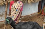 Buy A Goat For A Family of Visually Challenged