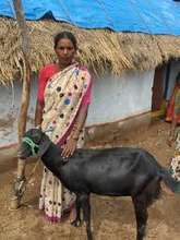 Buy A Goat For A Family of Visually Challenged