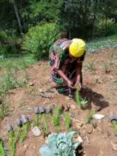 Empower 5000 Women with fruits trees in Korogwe.