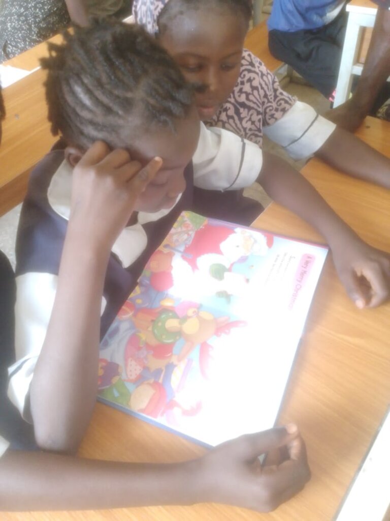 Story Bridges: Scaling Community Literacy Programs