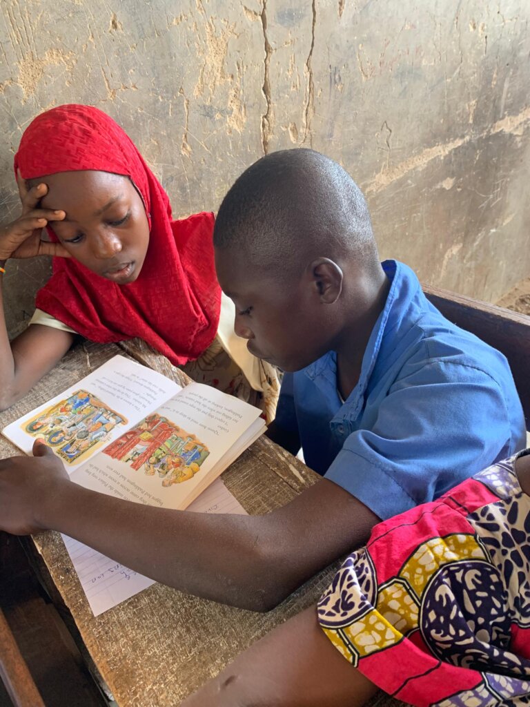 Story Bridges: Scaling Community Literacy Programs