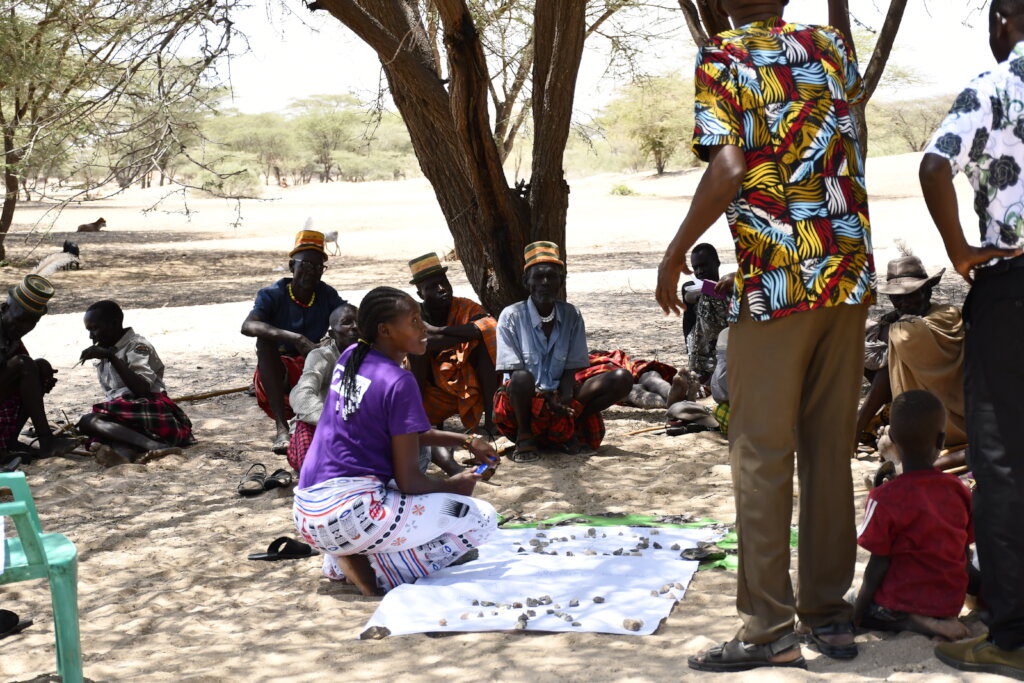 Promoting Education, Inclusion, Protection