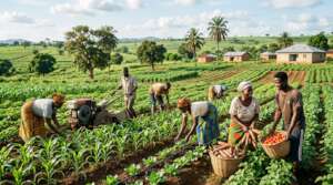 Improve Food Production in Rural Ghana