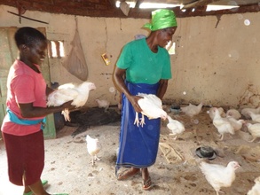 Customer buying a chicken