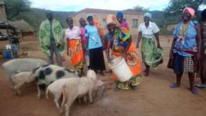 Women Who Participate In The Pig Project