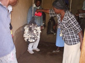 Watering the mushrooms