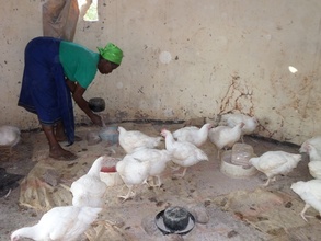 One of the women feeding the chickens