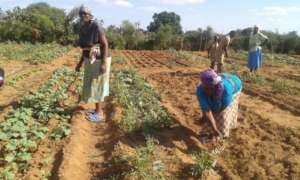 Community Gardening Project