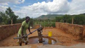 Gardening Project - The Borehole