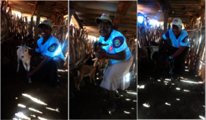 Women Who Participate In The Goat Project