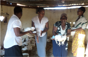 Women holding chickens