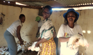 Women Showing Off Their Chickens
