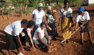 New Coop Will Be Built Where We Are Laying Rocks