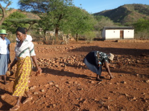The Women Clearing The Location For The New Coop