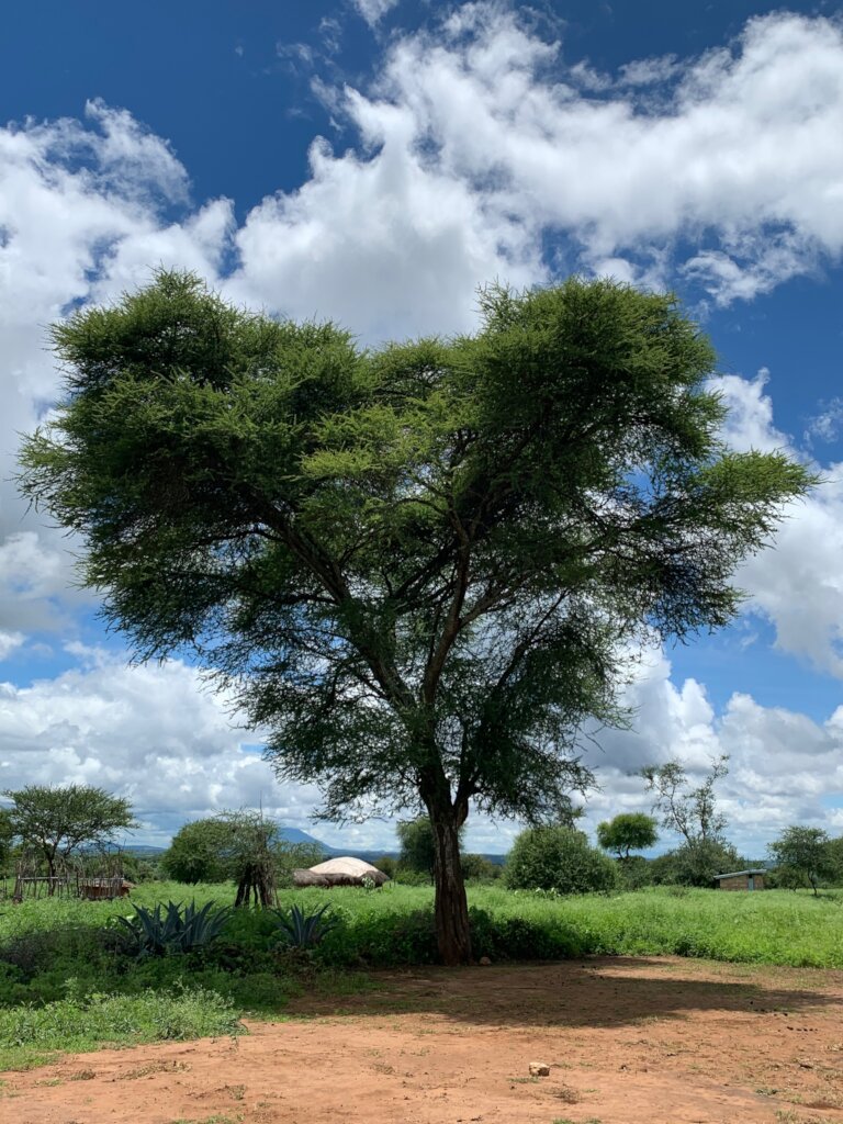 Re-build church for Tanzanian Maasai community