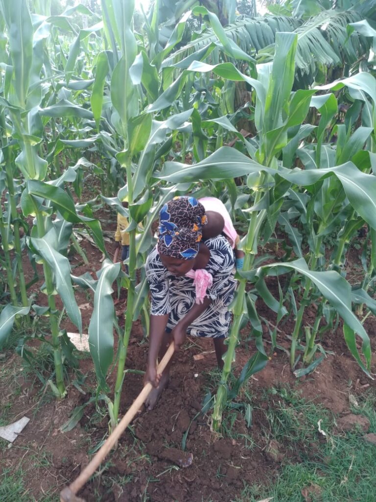 Farmer Aid