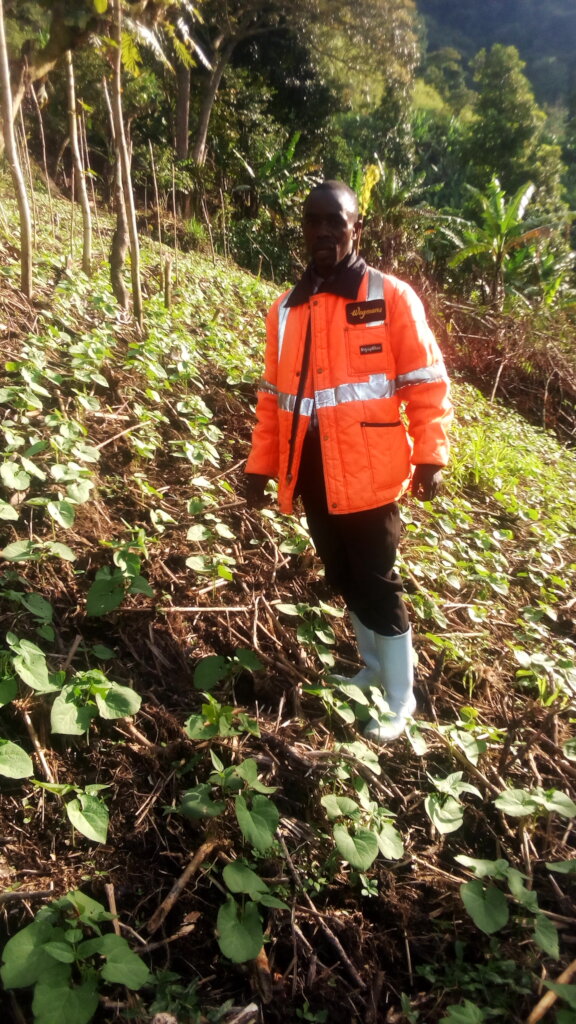 Empowering women farmers through urban in Drcongo