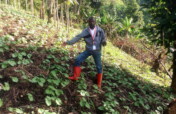 Empowering women farmers through urban in Drcongo