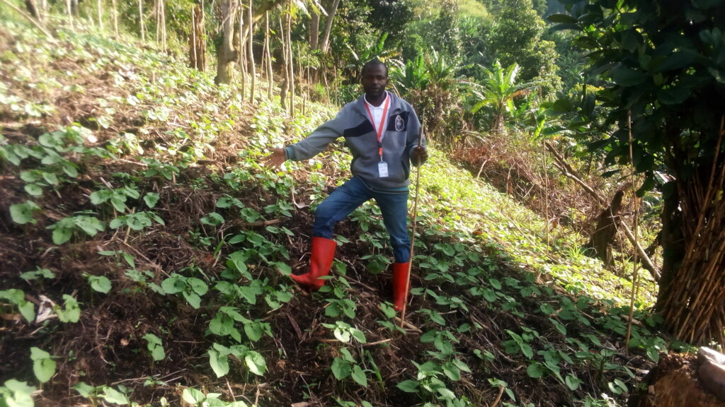 Empowering women farmers through urban in Drcongo