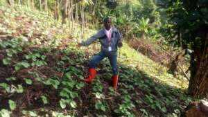 Empowering women farmers through urban in Drcongo