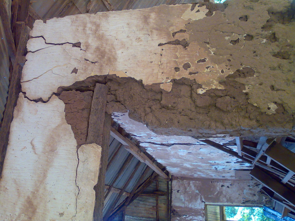 Renovation of Kidz Accademy
