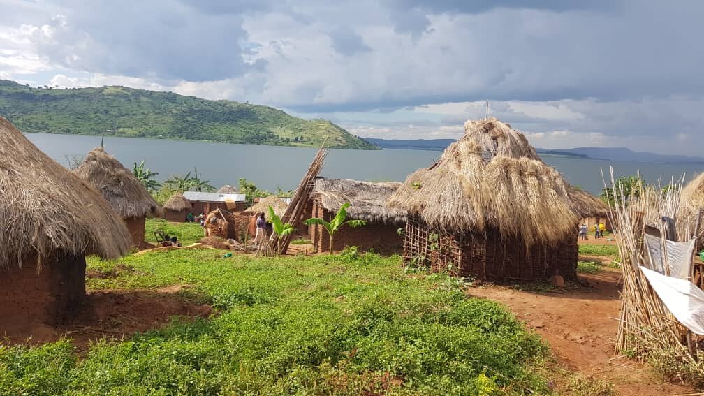 Restore 3,500 Hectares of Lake Victoria Shores