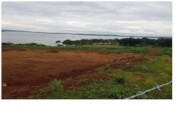 Restore 3,500 Hectares of Lake Victoria Shores
