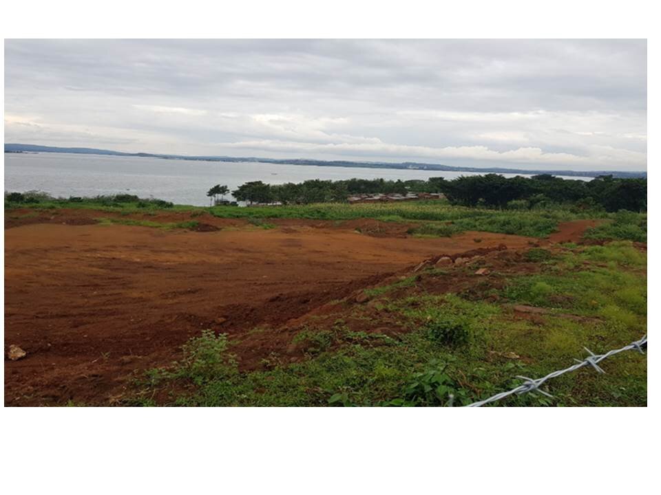 Restore 3,500 Hectares of Lake Victoria Shores