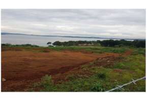 Restore 3,500 Hectares of Lake Victoria Shores