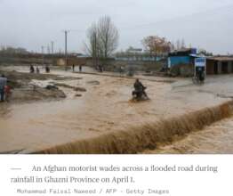Environmental Damage