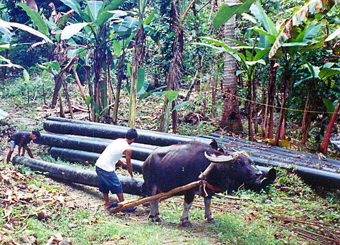 Hydro Power for 1,000 Albay Fisherfolk