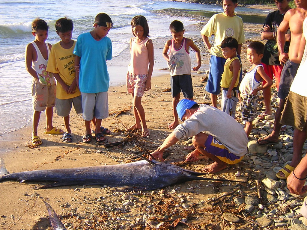 Hydro Power for 1,000 Albay Fisherfolk