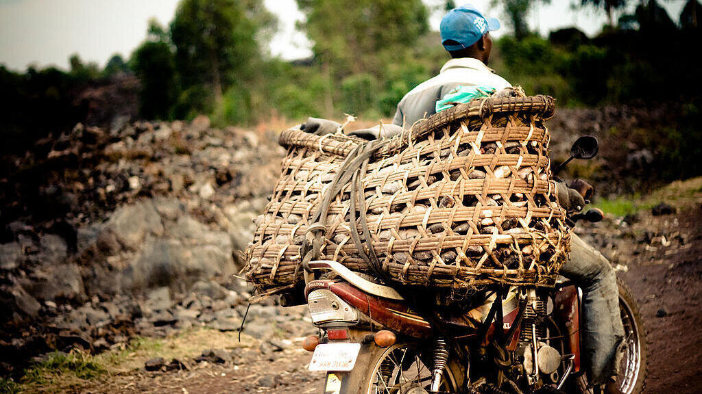 Promoting Positive Masculinity, Empower Men in DRC