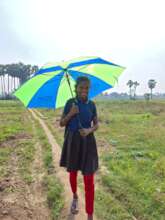 umbrella