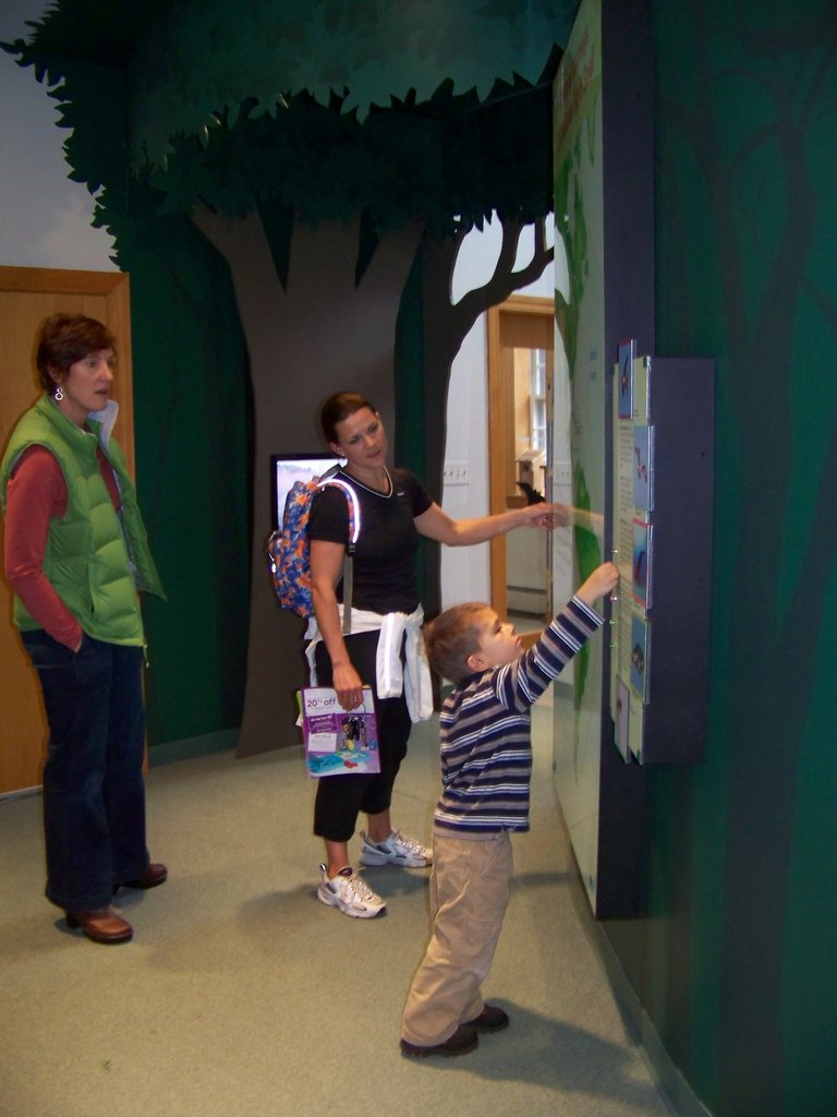 Educational Curriculum on Migration Exhibit