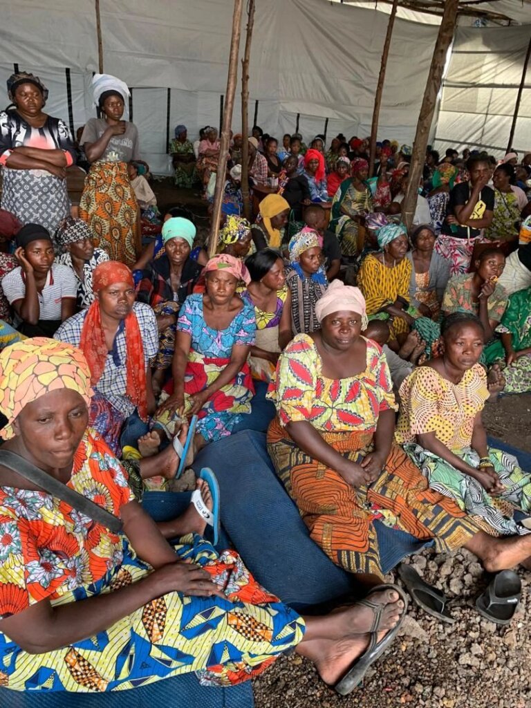 Build Peace for Families in DR Congo