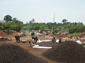 The women processing the palm kernel