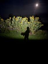 Moonlight harvest w/ founder Julie Schryer