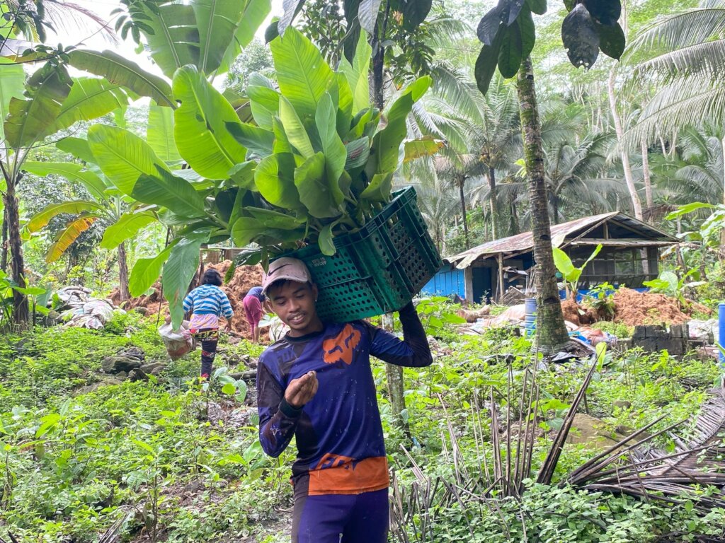 Empowering Farmers via Microloans