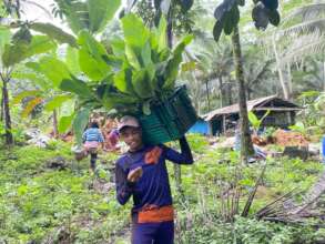 Empowering Farmers via Microloans