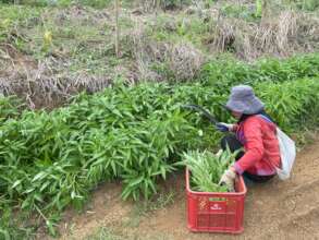 Young Farmers Microloan Empowerment Initiative
