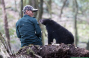 Support rescue and rehabilitate Bear cubs