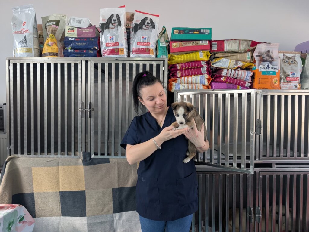 Healing Haven: Build a life-saving medical unit