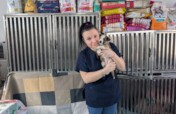 Healing Haven: Build a life-saving medical unit