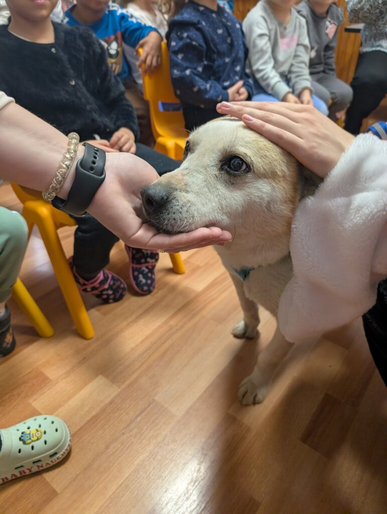 Break Animal Neglect Through Education