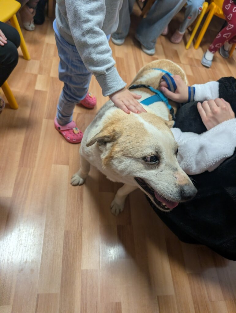 Break Animal Neglect Through Education
