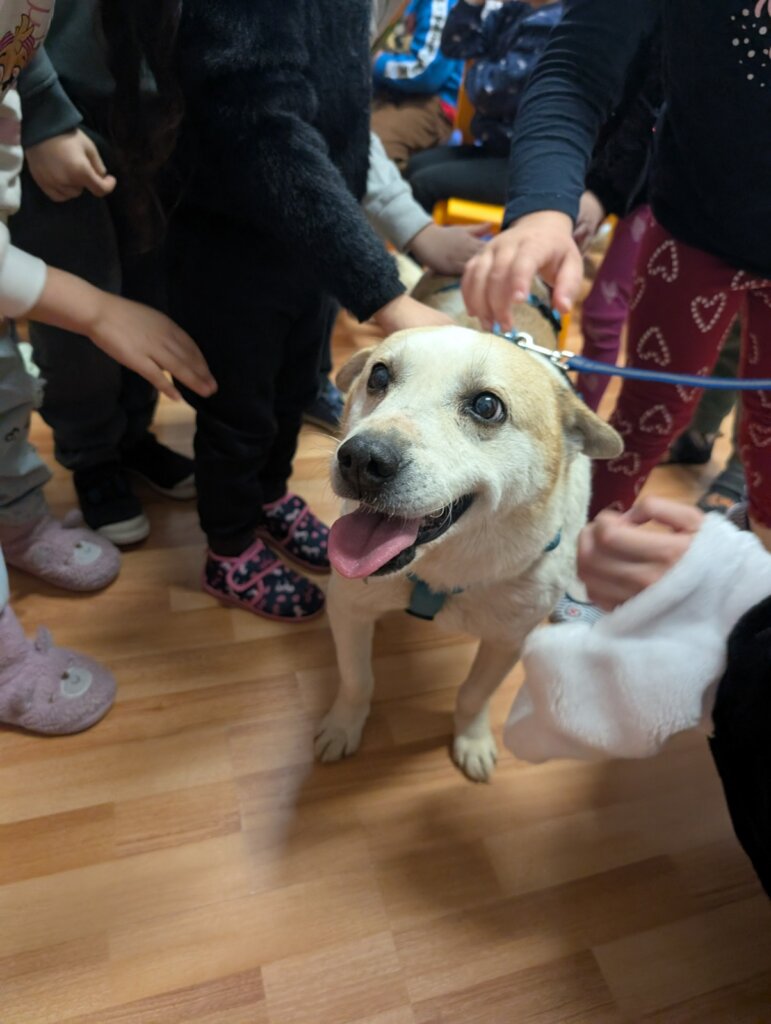 Break Animal Neglect Through Education