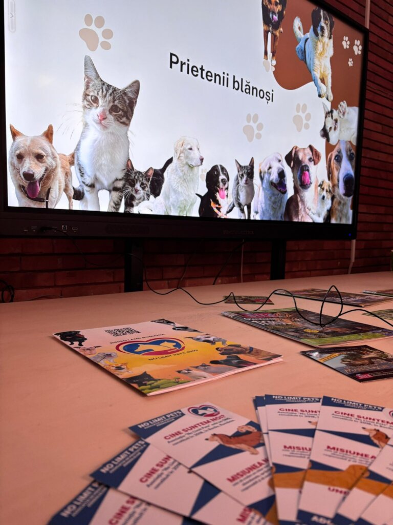 Break Animal Neglect Through Education