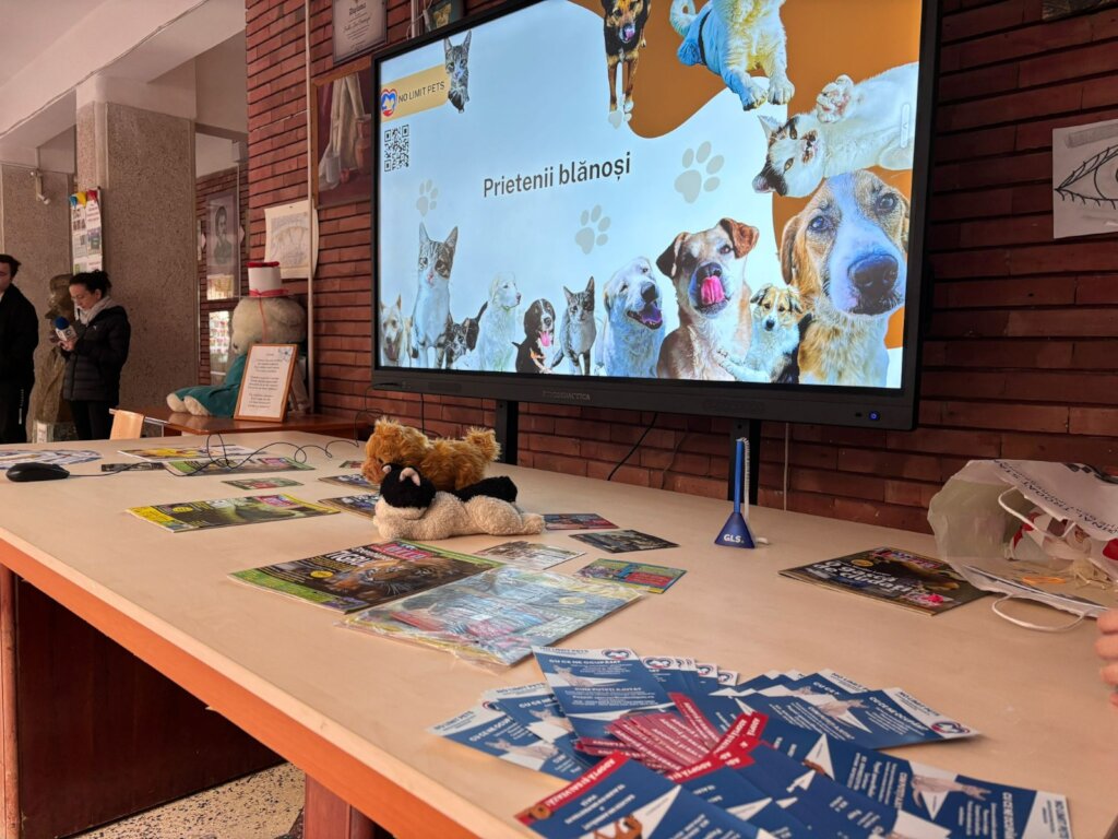 Break Animal Neglect Through Education
