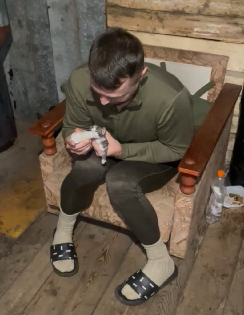 Treat 500 Animals on Ukraine's Frontline